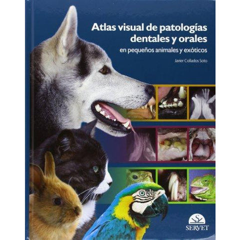 ATLAS VISUAL DE PATOLOGÍAS DENTALES Y ORALES EN PEQUEÑOS ANIMALES Y EXÓTICOS-REVISION - 23/01-UNIVERSAL BOOKS-UNIVERSAL BOOKS