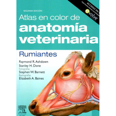 Atlas en color de anatomía veterinaria. Rumiantes-REV. PRECIO - 01/02-elsevier-UNIVERSAL BOOKS