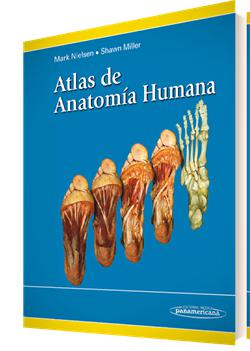 Atlas de Anatomía Humana-UNIVERSAL 26.04-UNIVERSAL BOOKS-UNIVERSAL BOOKS