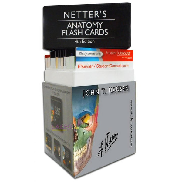 Netter Anatomy Flash Cards-REV. PRECIO - 31/01-elsevier-UNIVERSAL BOOKS
