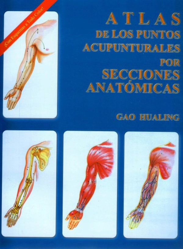 Atlas de los puntos acupunturales por secciones anatómicas