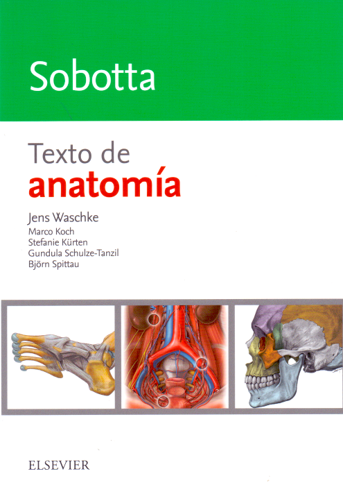 Sobotta. Texto de Anatomía