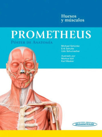 Prometheus. Póster de Anatomía. Huesos y músculos