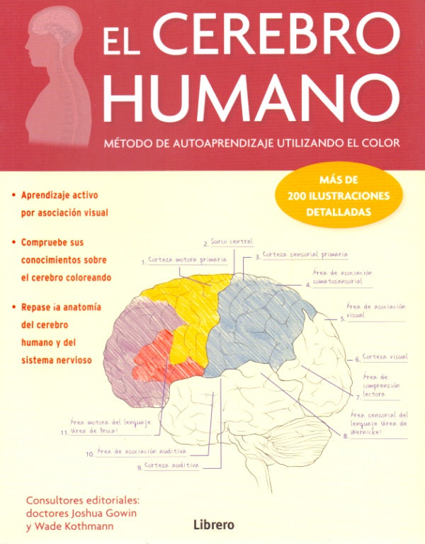 El Cerebro Humano: Método De Autoaprendizaje Utilizando El Color